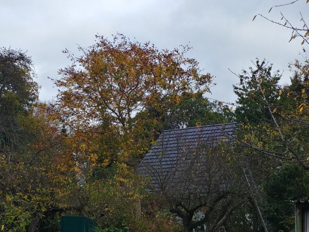 ... eine halbe Stunde später ist alles wieder zugezogen.