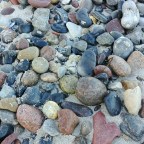 Zwei Hühnergötter an einem Tag