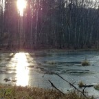 Ein Lächeln geht immer