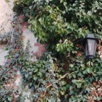 Illusion – Ernüchterung –  Vernunft