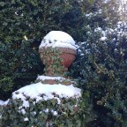 Eine weiße Überraschung