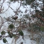 Vom instabilen Polarwirbel, dem kalten Ostwind und unserem Alltag