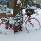 Der Winterschlaf ist vorbei