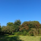 Altweibersommer mal anders