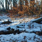 Meist bedeckt mit Sprühregen im Norden … und ein wenig Schnee