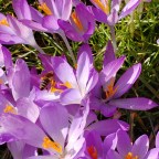 Kaiserwetter in den Kaiserbädern