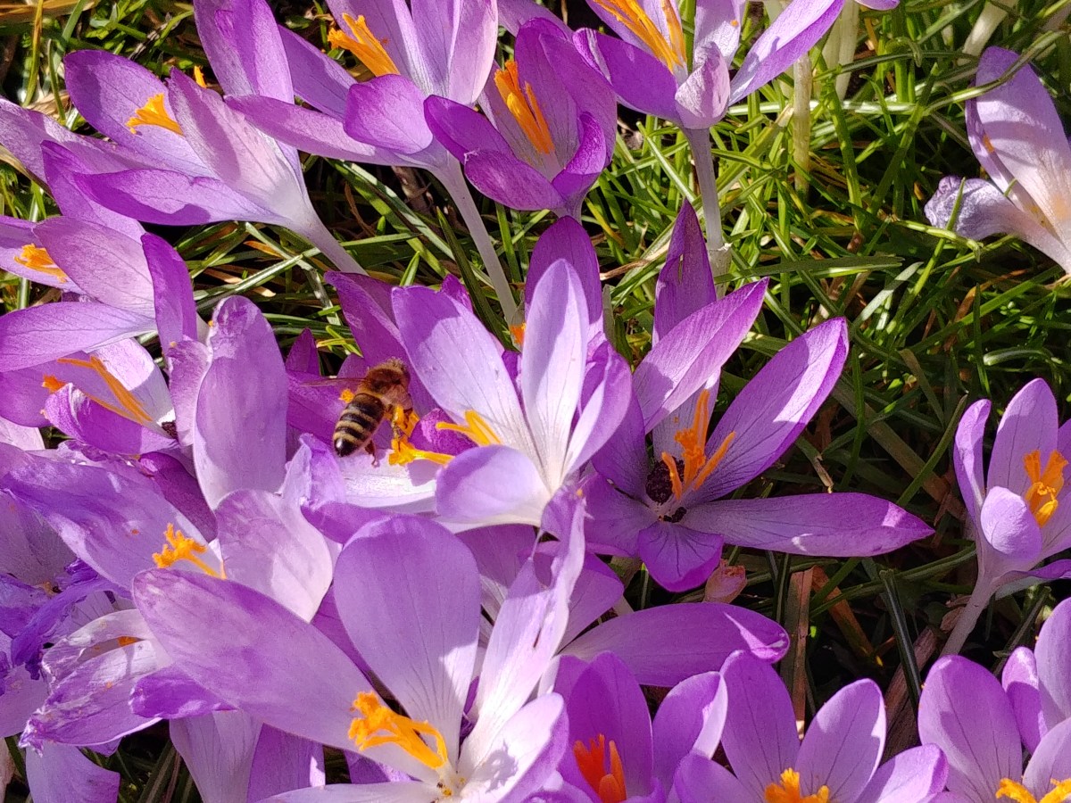 Kaiserwetter in den Kaiserbädern