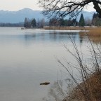 Im Land der blauen Reiter