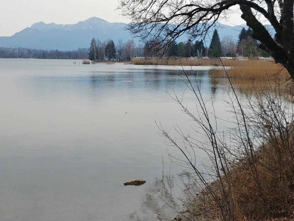 Im Land der blauen Reiter